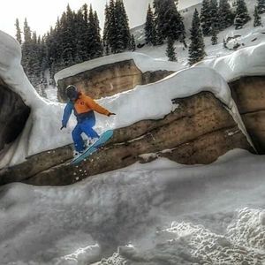 Meet your Posher, Tyler